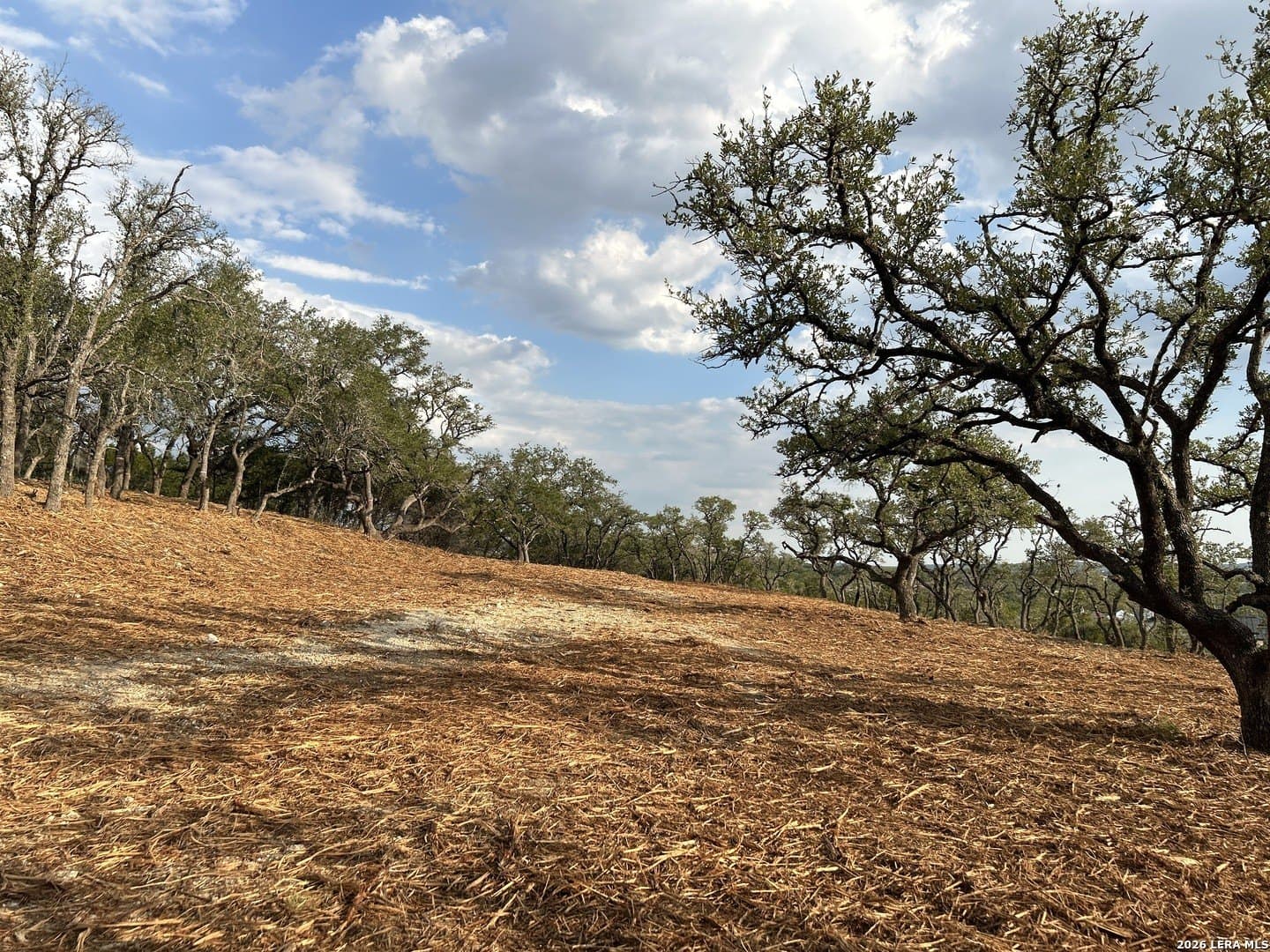 1.19 acres in Comal County - photo 8