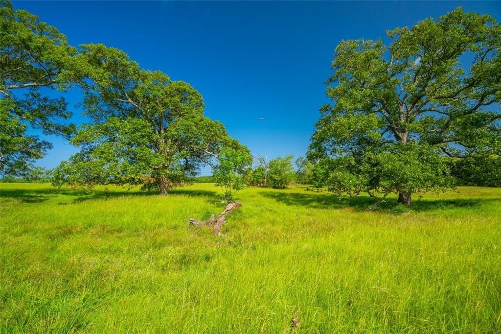 504 acres in Morris County gallery image 4