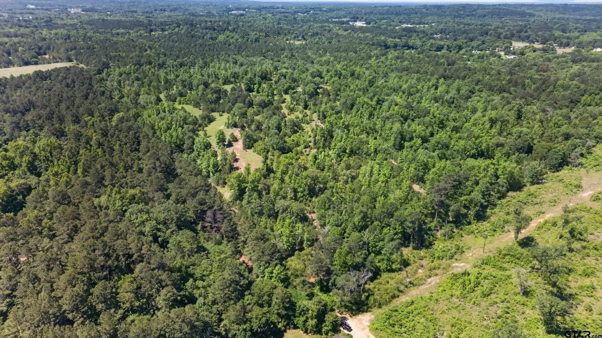 50 acres in Anderson County - photo 18