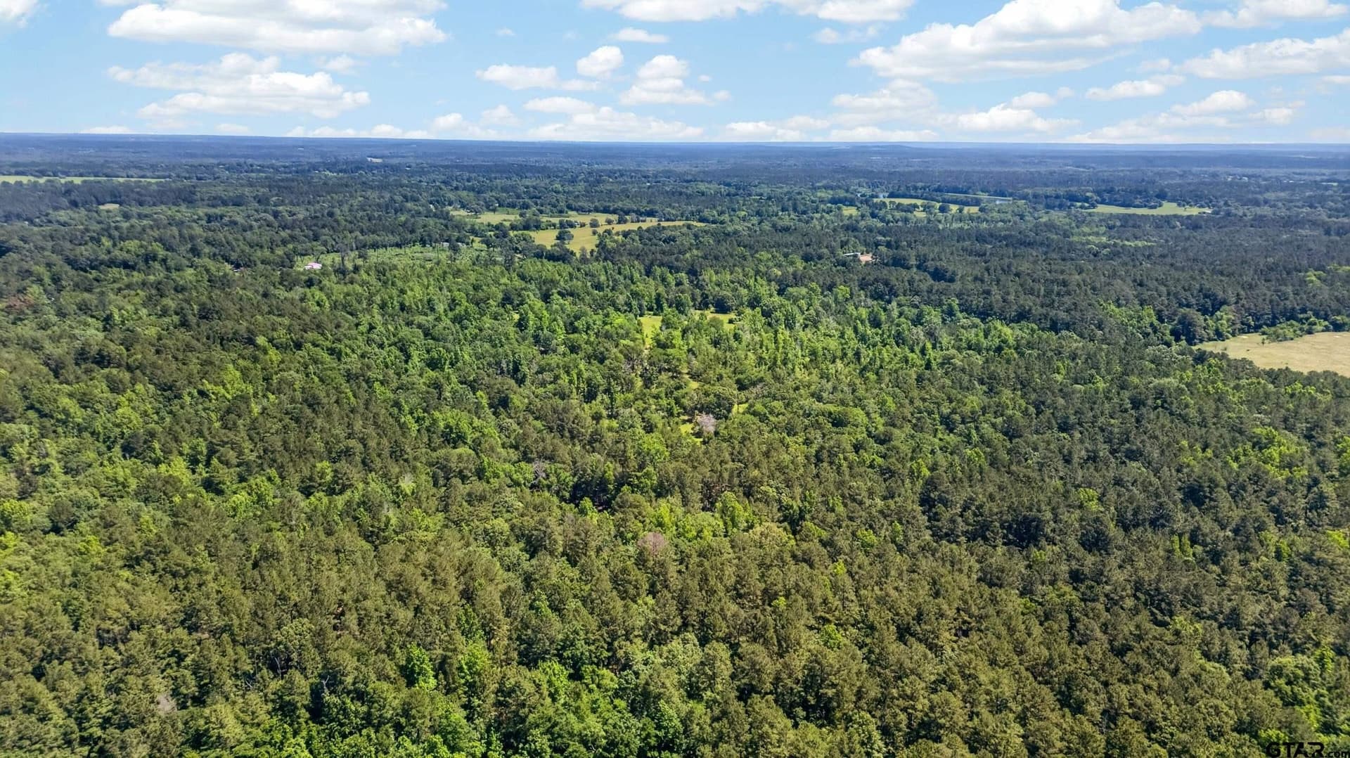 50 acres in Anderson County - photo 10