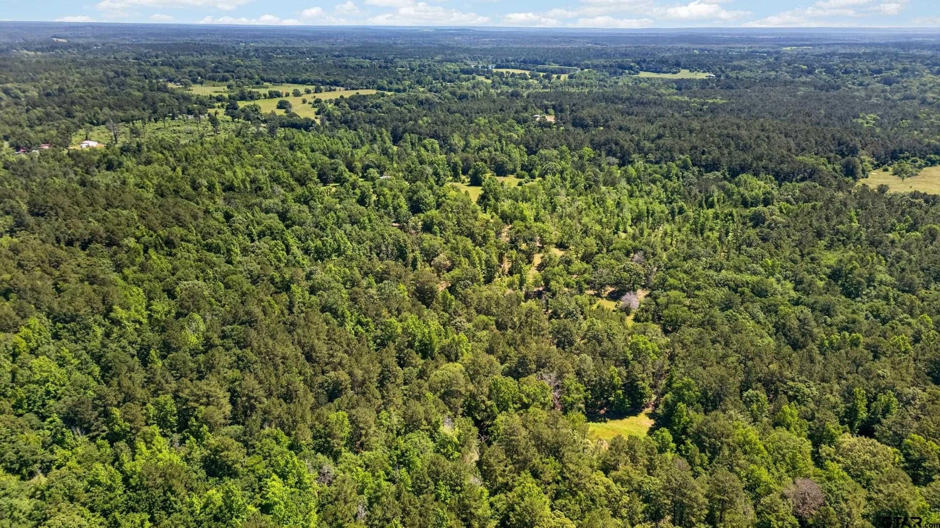 50 acres in Anderson County - photo 9