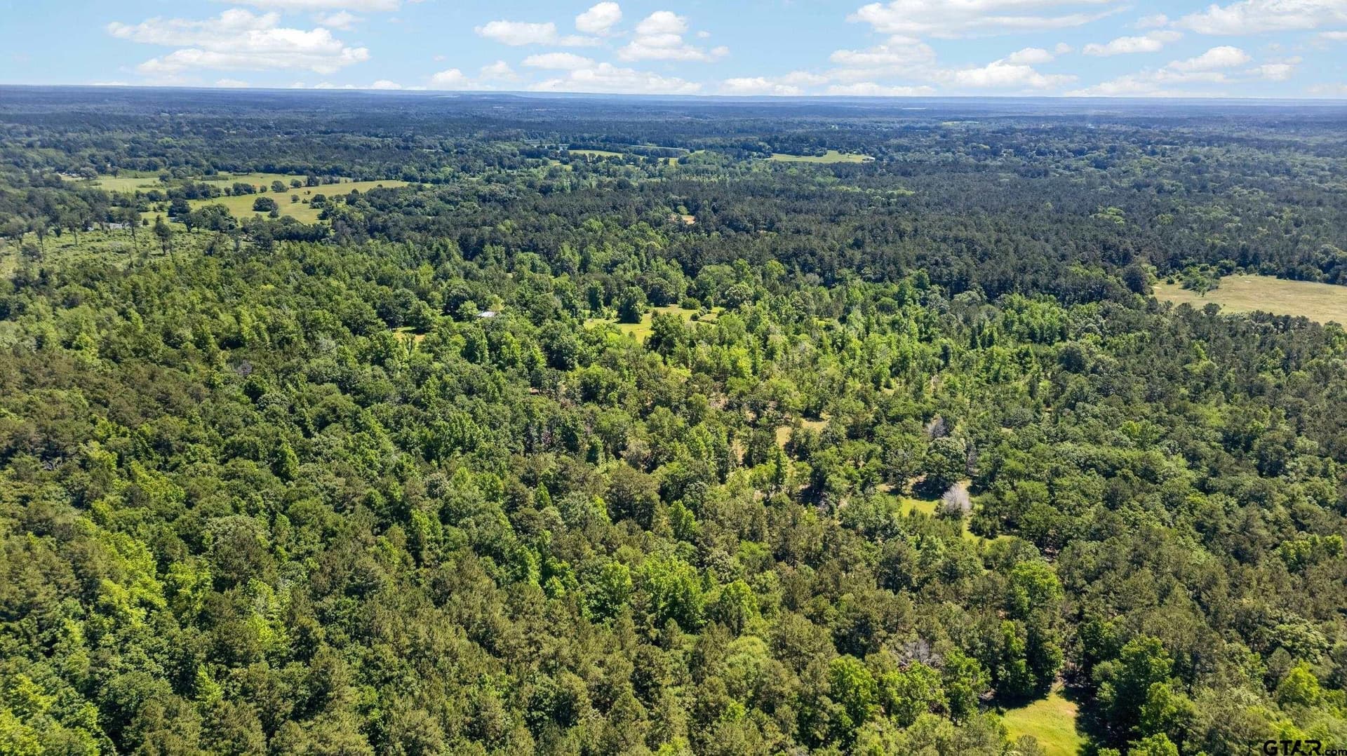 50 acres in Anderson County - photo 7
