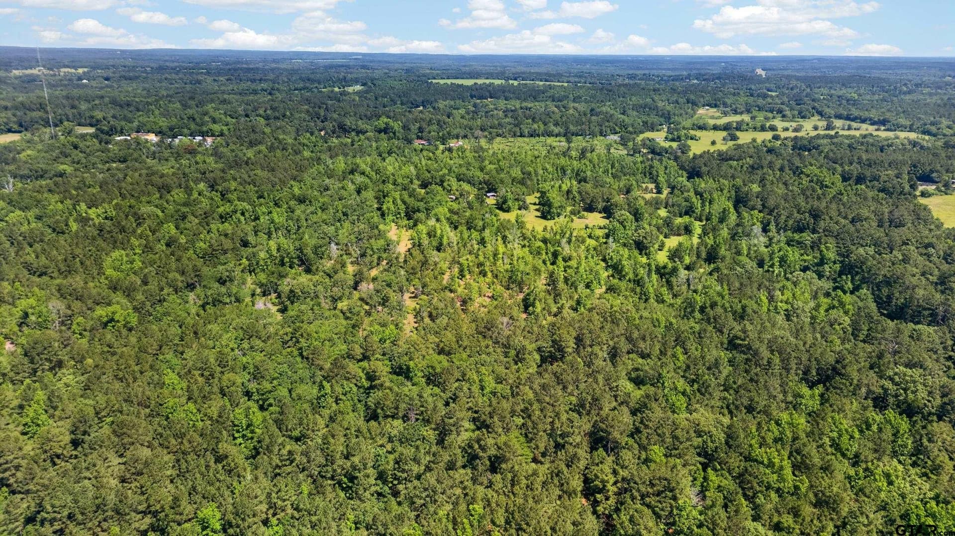 50 acres in Anderson County - photo 11
