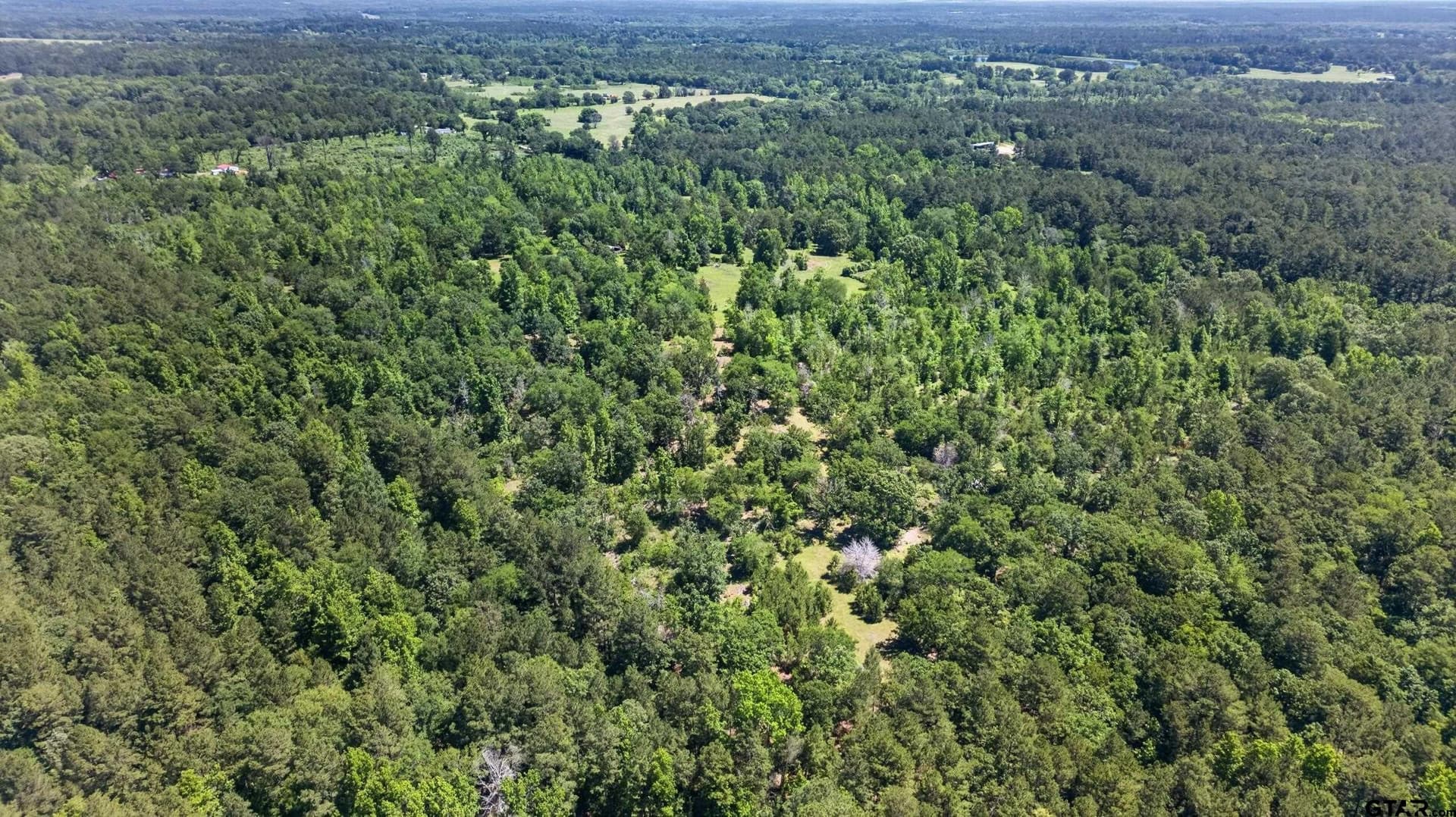 50 acres in Anderson County - photo 8