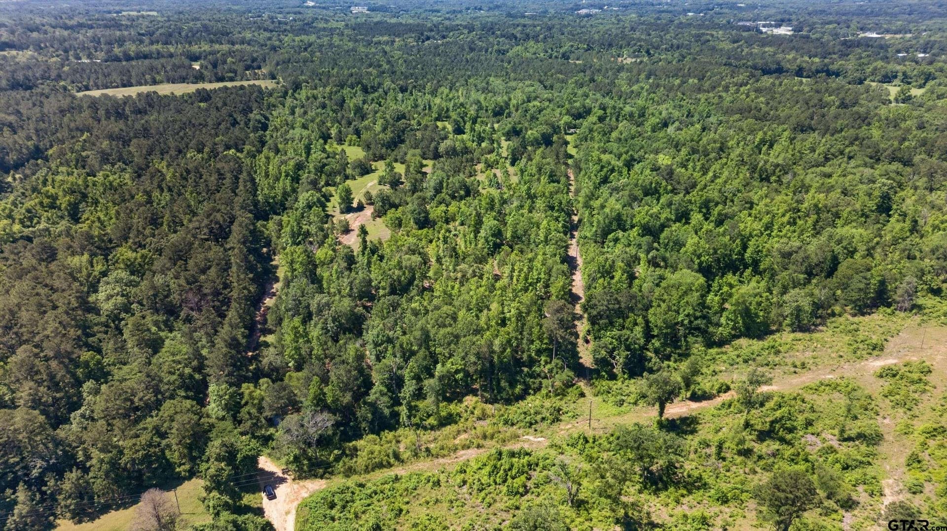 50 acres in Anderson County - photo 15