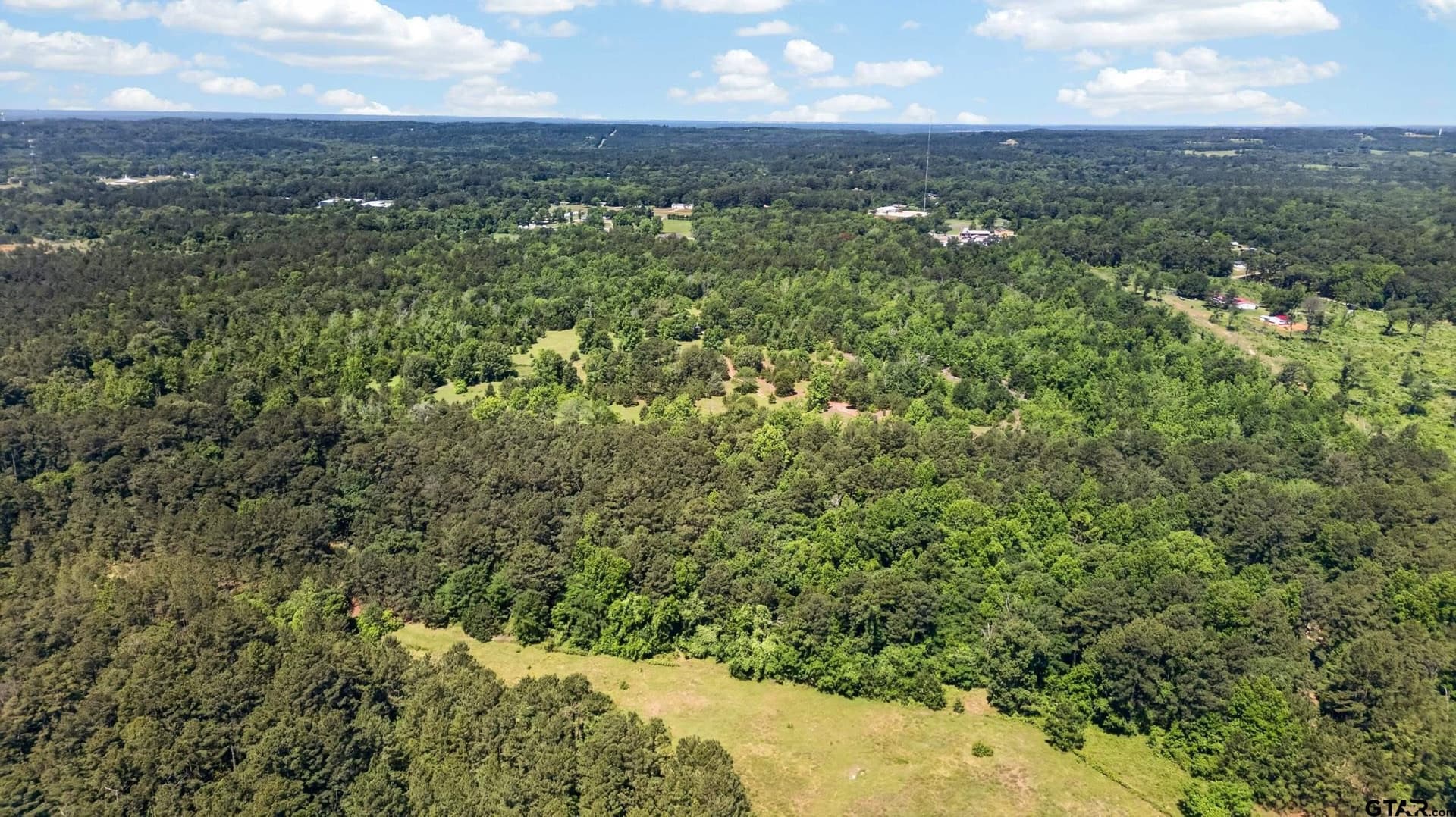 50 acres in Anderson County - photo 14
