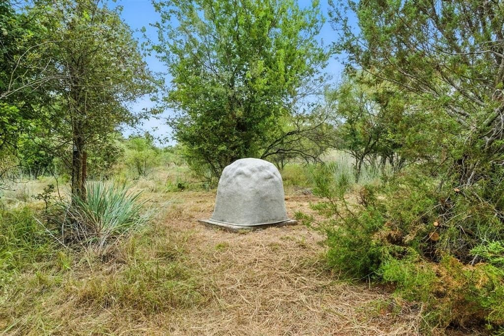 19.62 acres in Parker County featured view