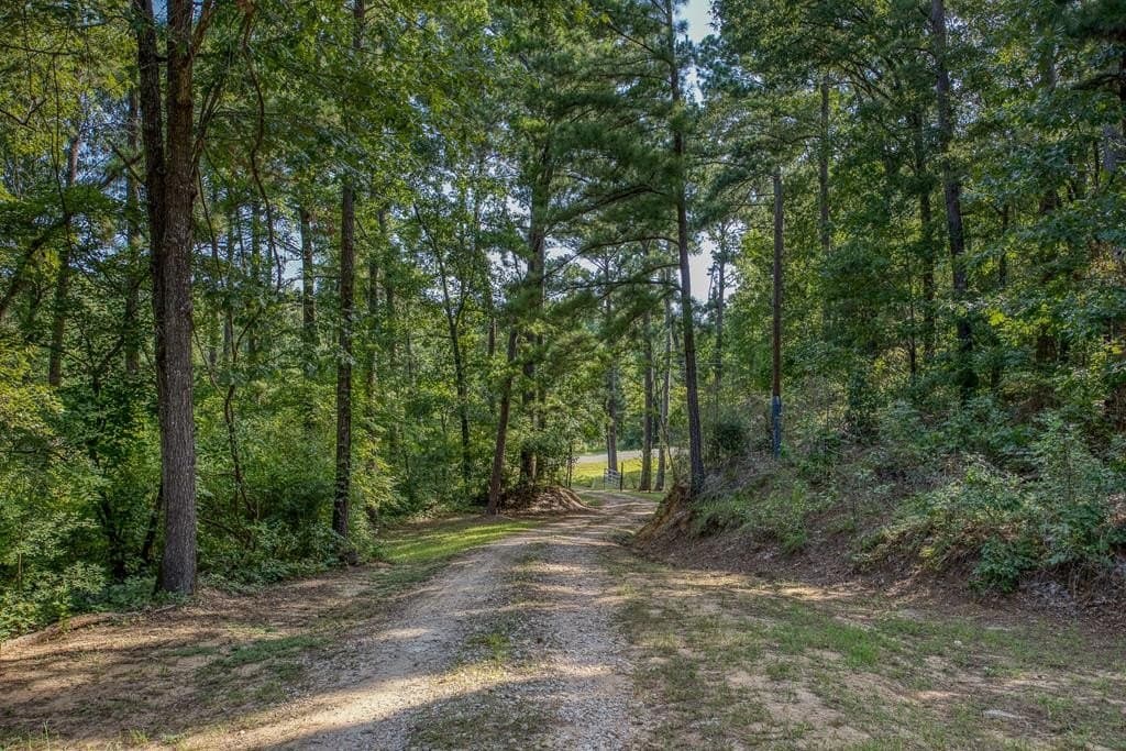 29.7 acres in ANDERSON County gallery image 3