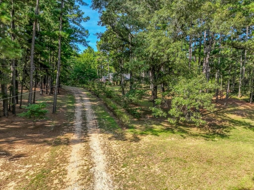 29.7 acres in ANDERSON County gallery image 4