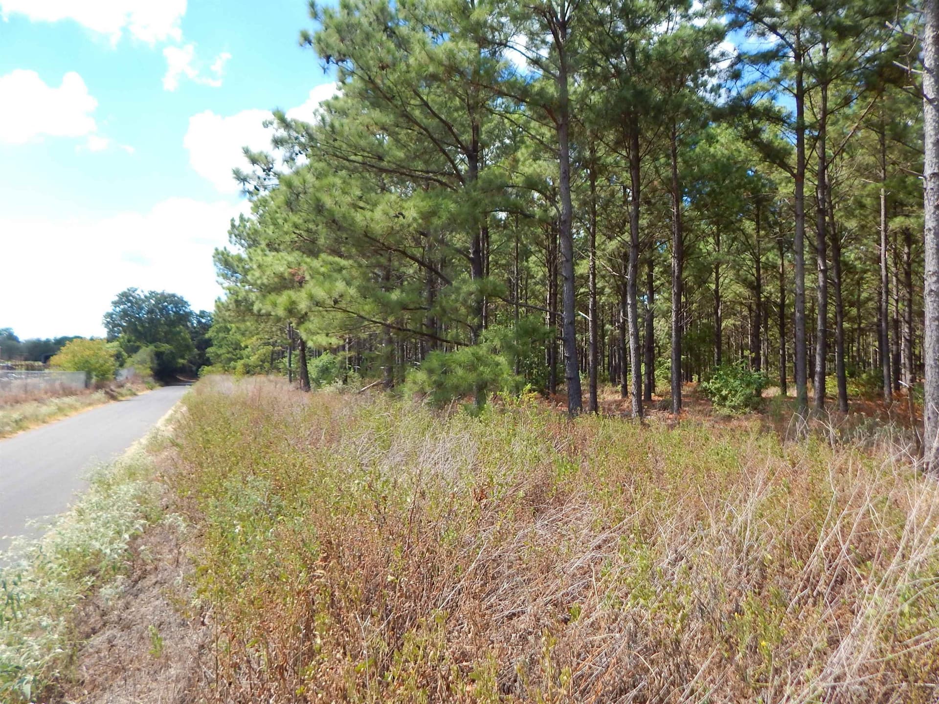 10 acres in Upshur County - photo 6