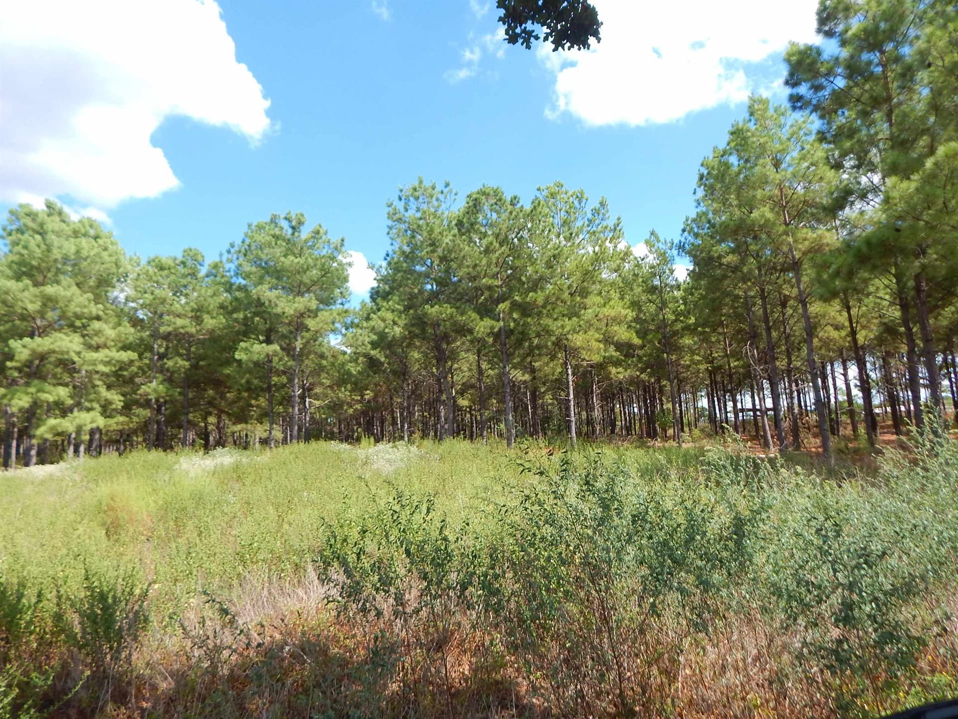 10 acres in Upshur County - photo 2