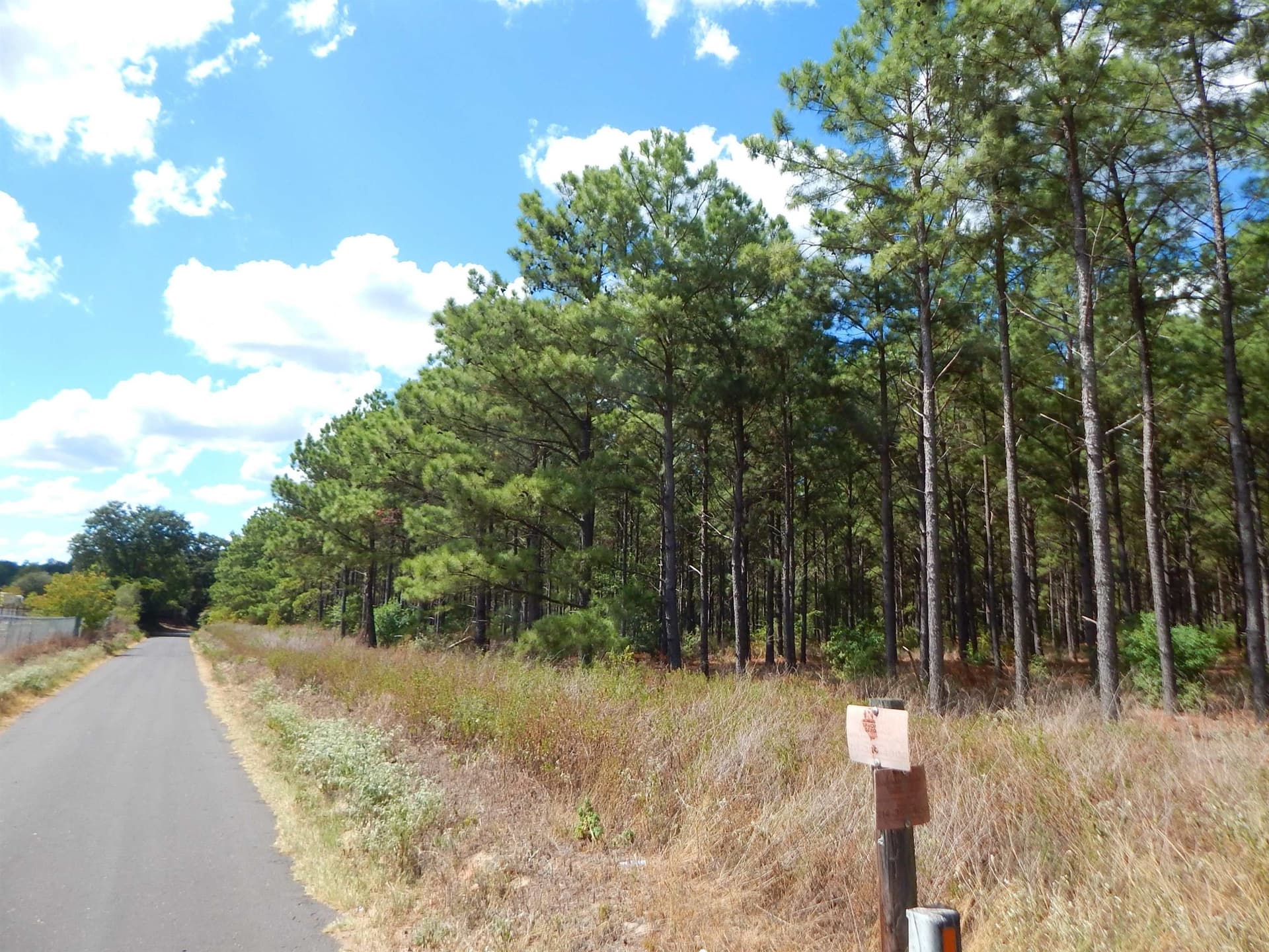 10 acres in Upshur County - photo 3
