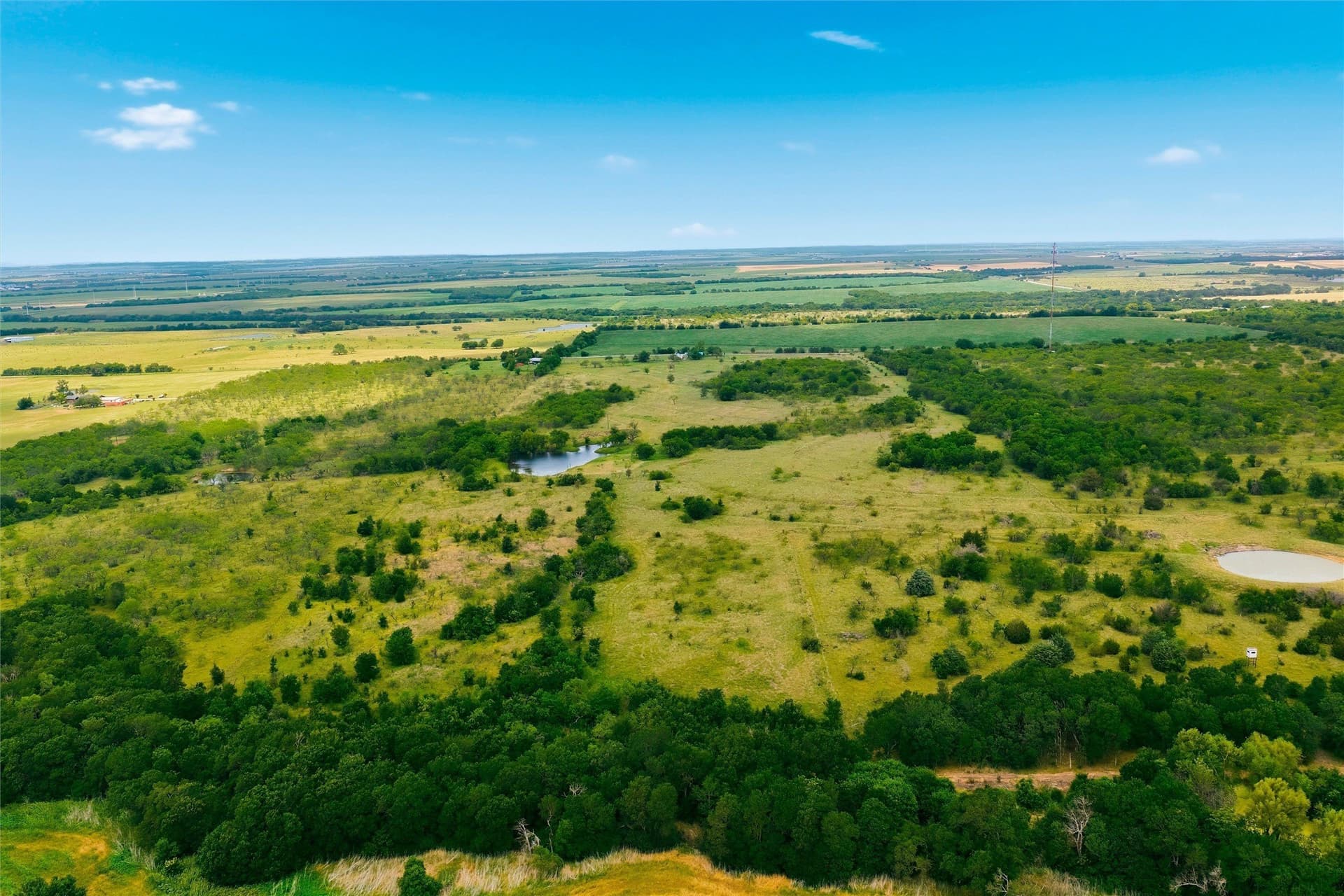 46.29 acres in Hill County gallery image 4