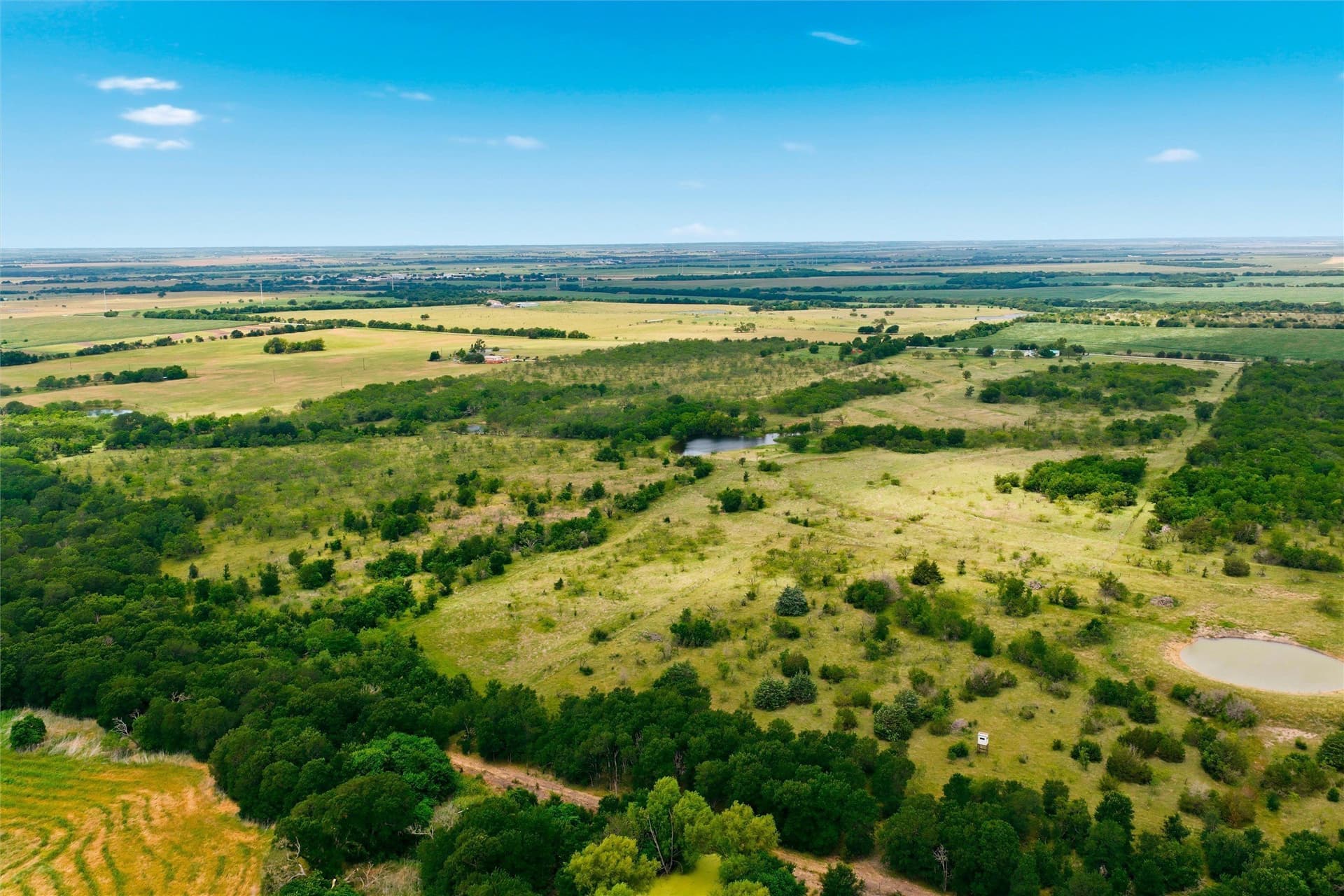 46.29 acres in Hill County gallery image 3