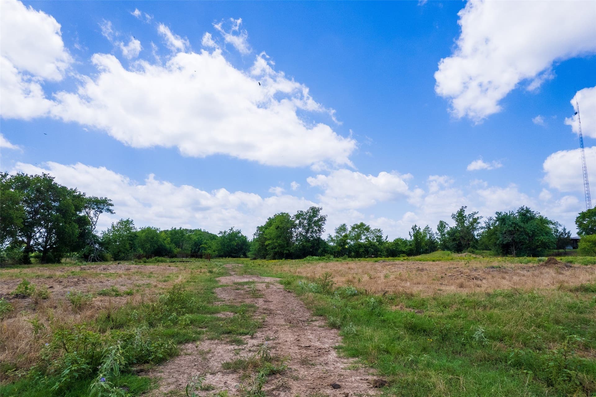 172.59 acres in Franklin (TX) County gallery image 4