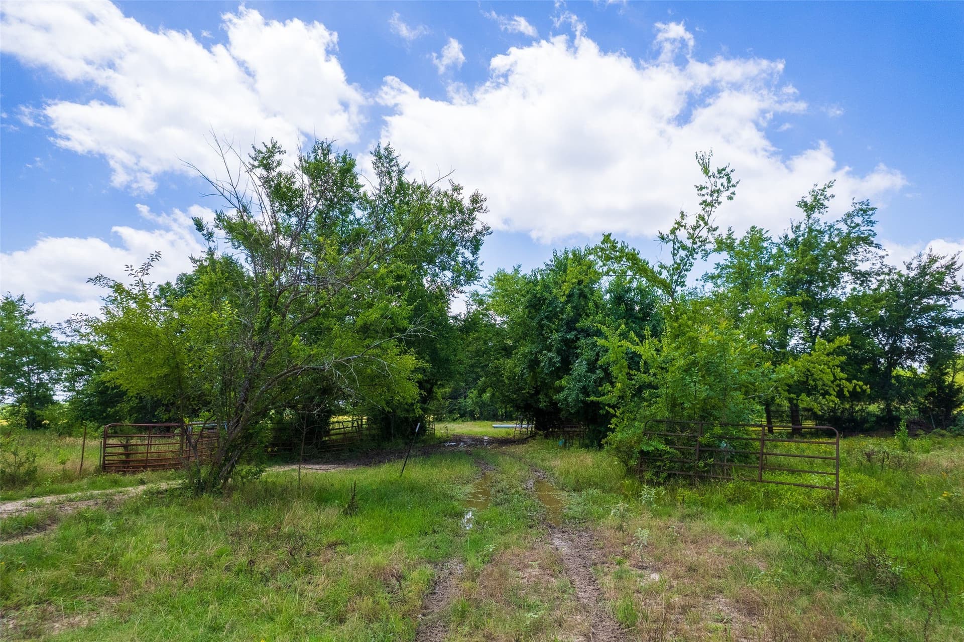 172.59 acres in Franklin (TX) County featured view
