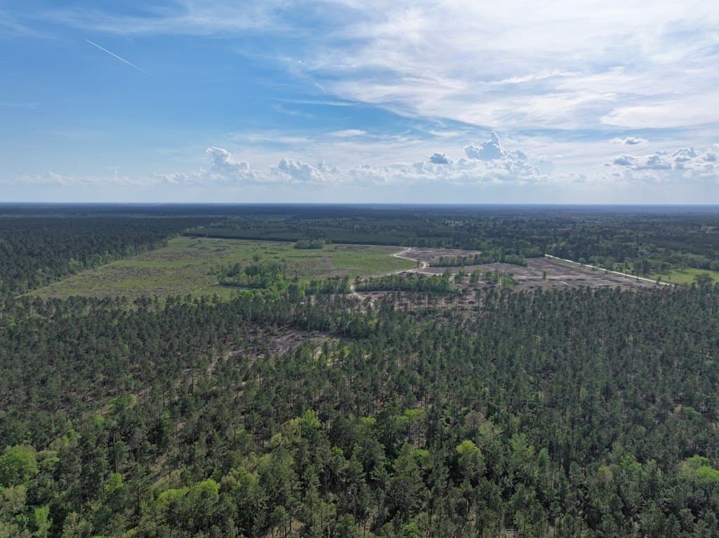 10 acres in Texas County - photo 19