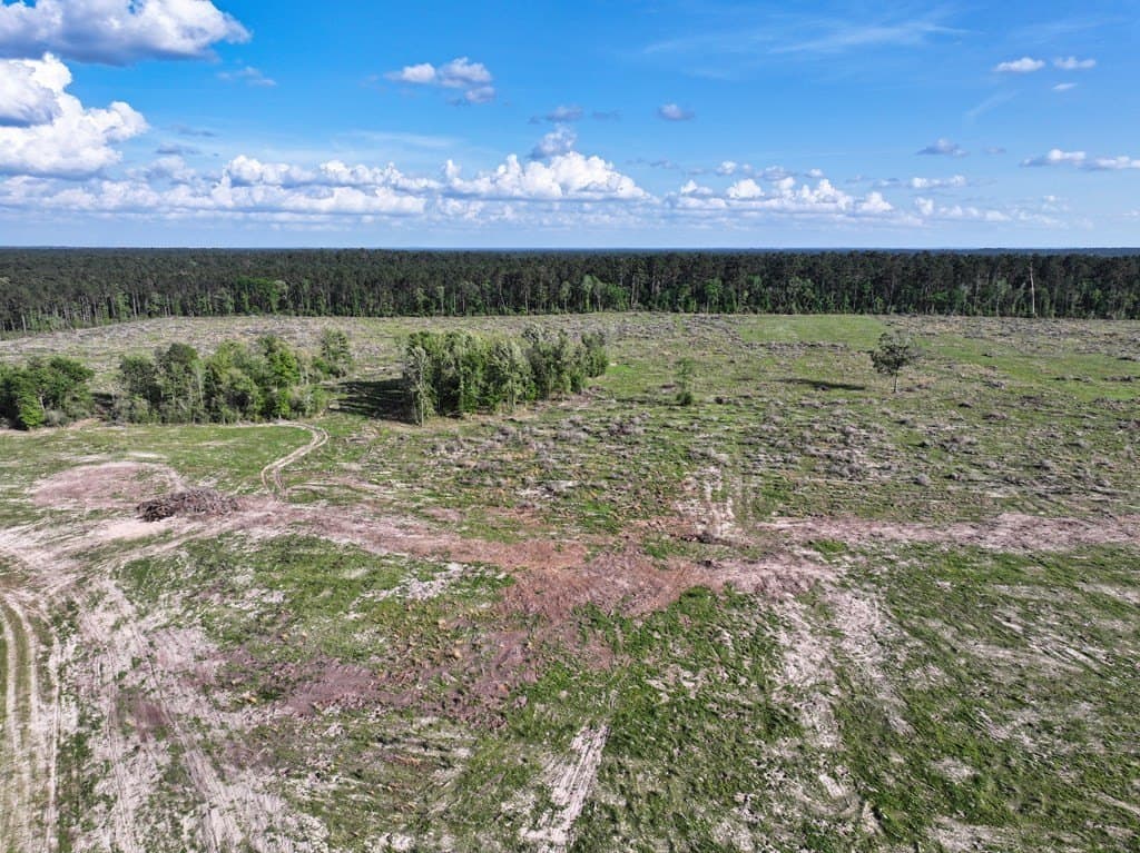 10 acres in Texas County - photo 55