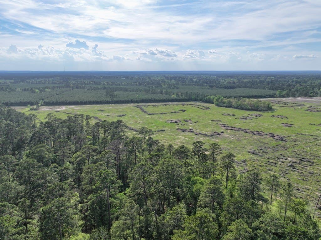 10 acres in Texas County - photo 23