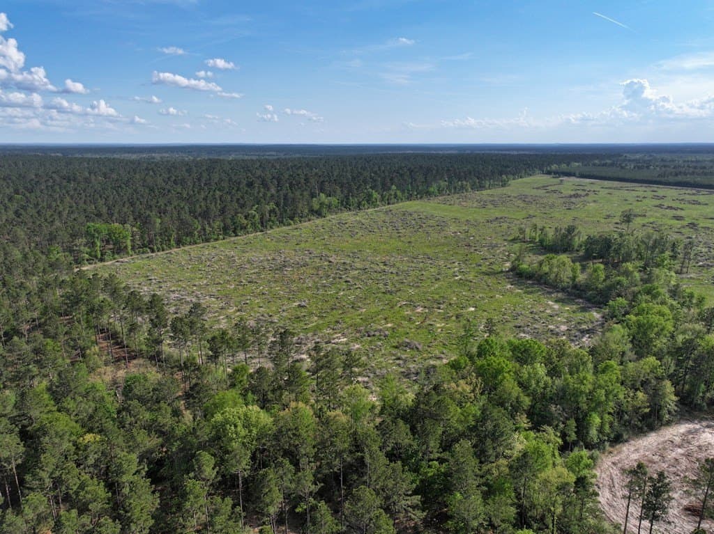 10 acres in Texas County - photo 18