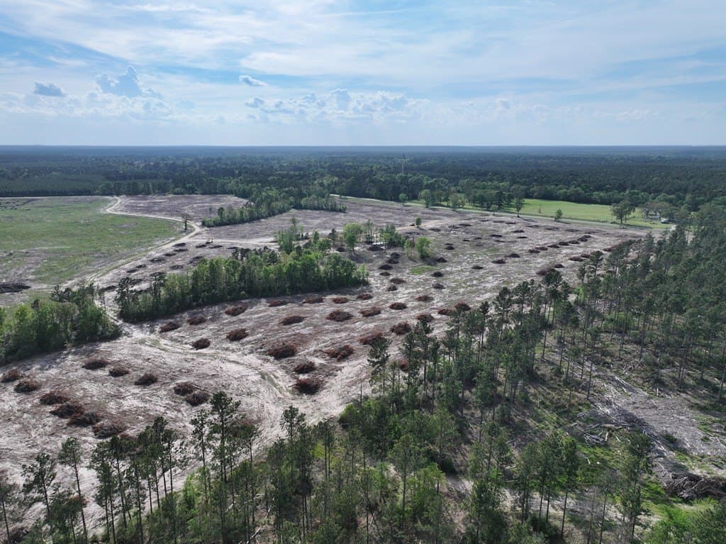 10 acres in Texas County - photo 17