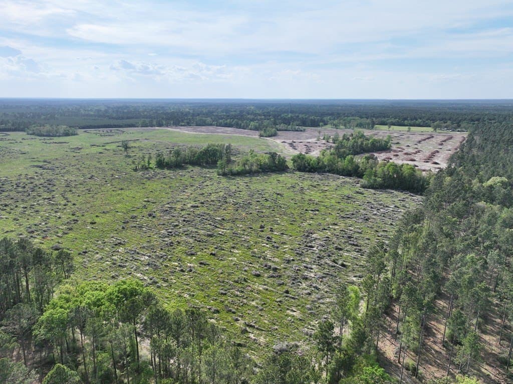10 acres in Texas County - photo 21
