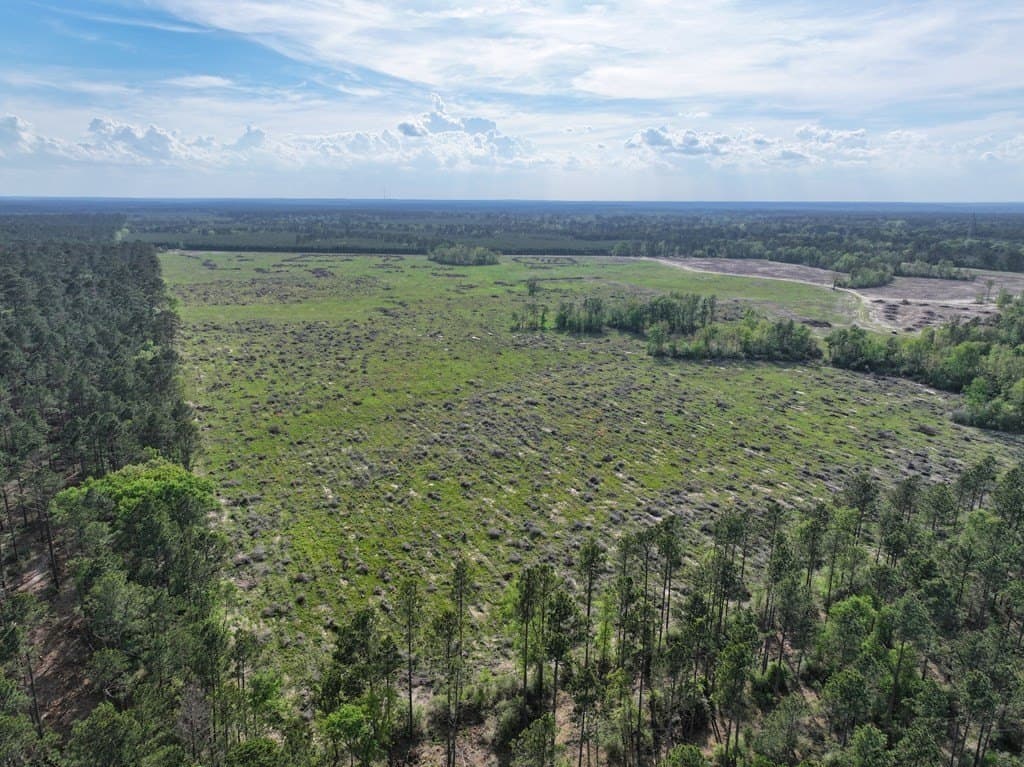 10 acres in Texas County - photo 20