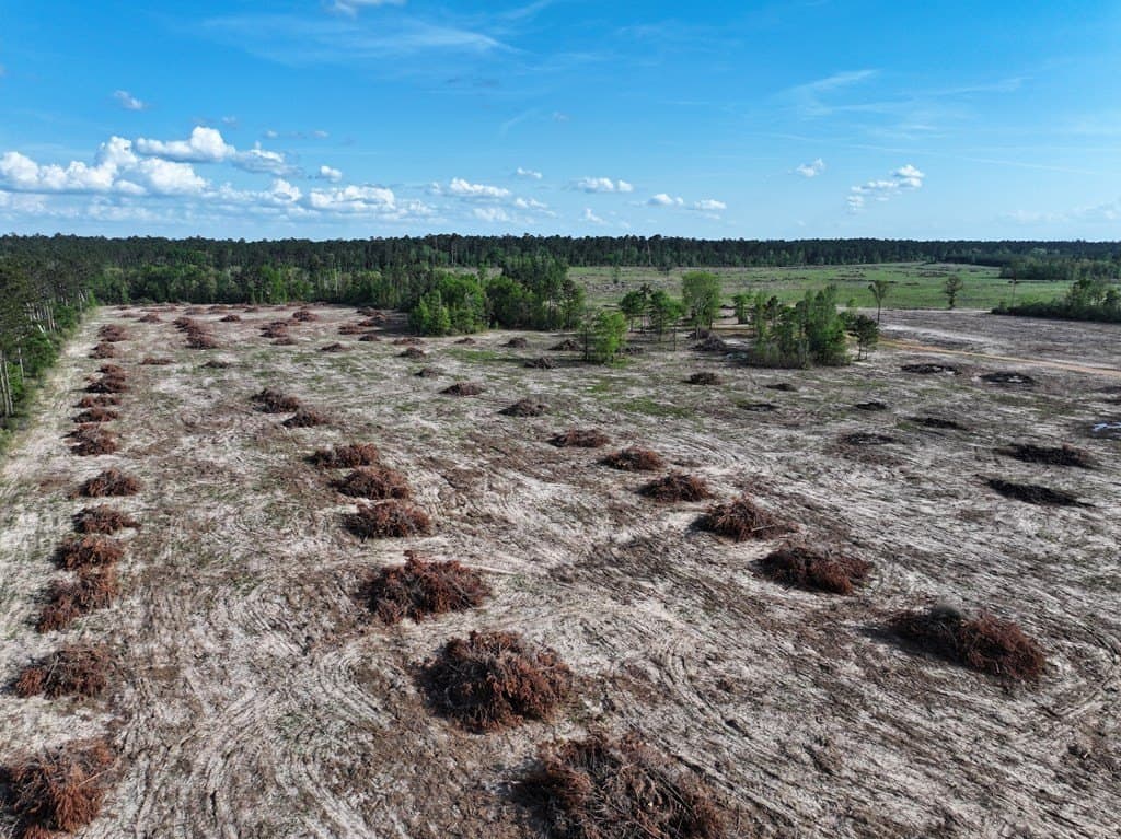 10 acres in Texas County - photo 40