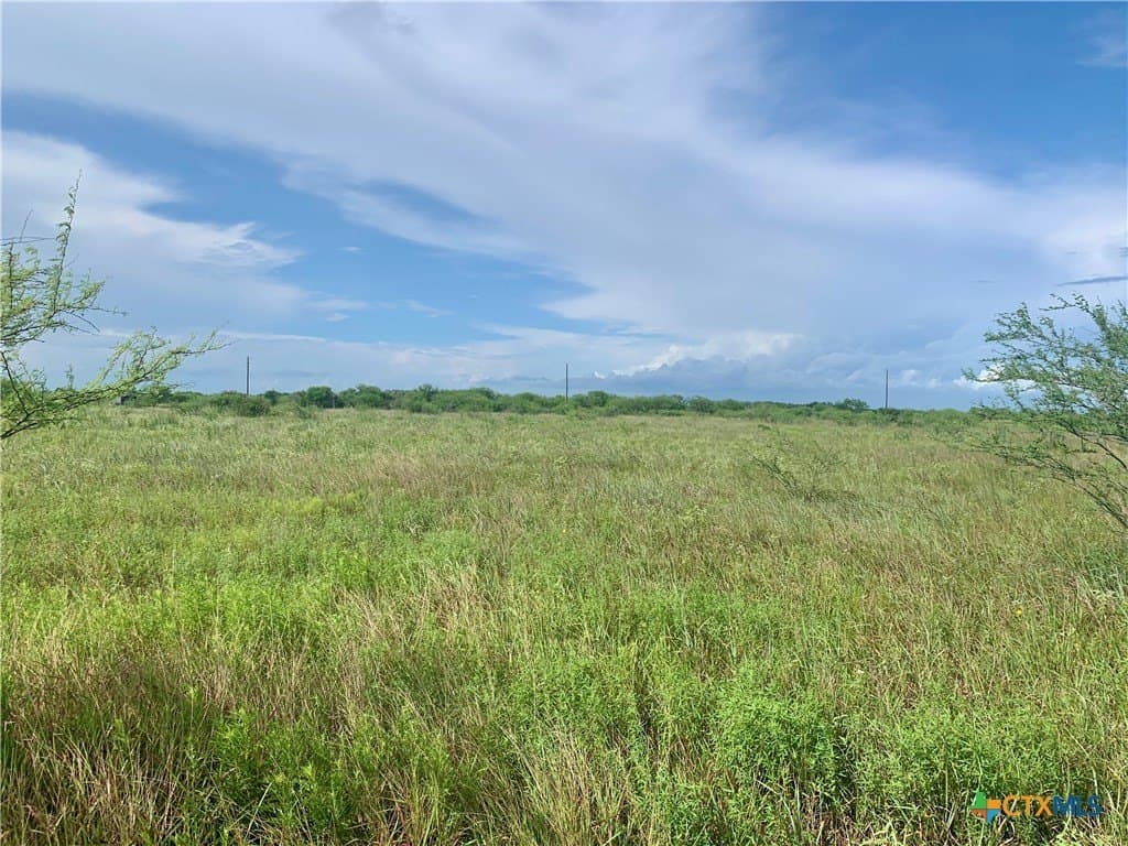 5.04 acres in Victoria County gallery image 4