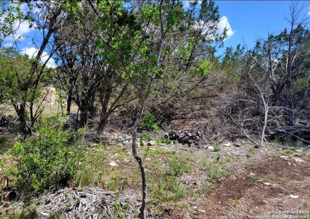 2.57 acres in Medina County gallery image 2