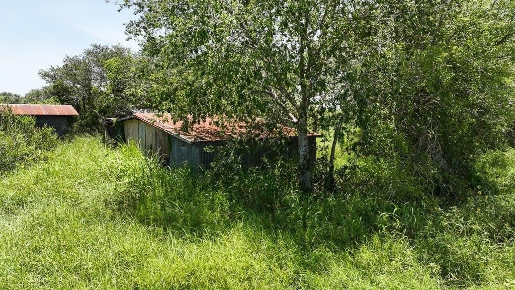 30 acres in San Patricio County - photo 12