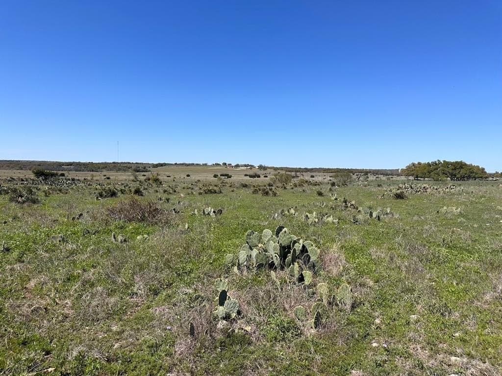 12 acres in Gillespie County gallery image 2