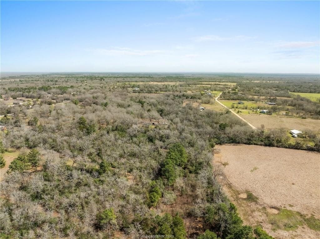 8.98 acres in Grimes County gallery image 3