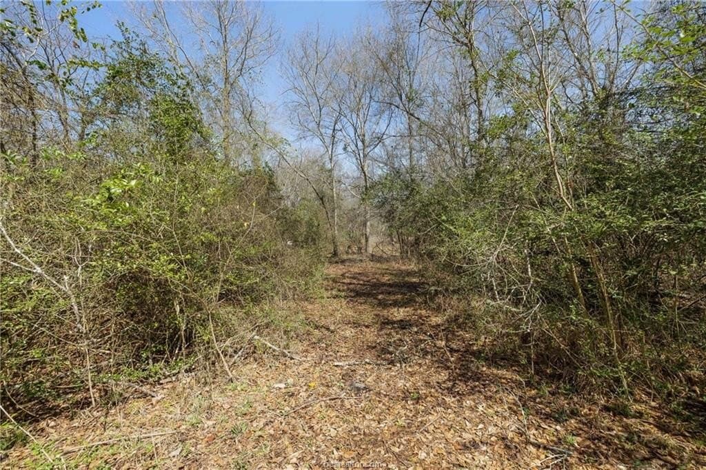 8.98 acres in Grimes County featured view