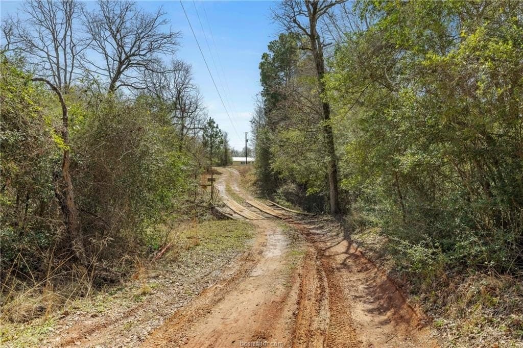 8.98 acres in Grimes County gallery image 4