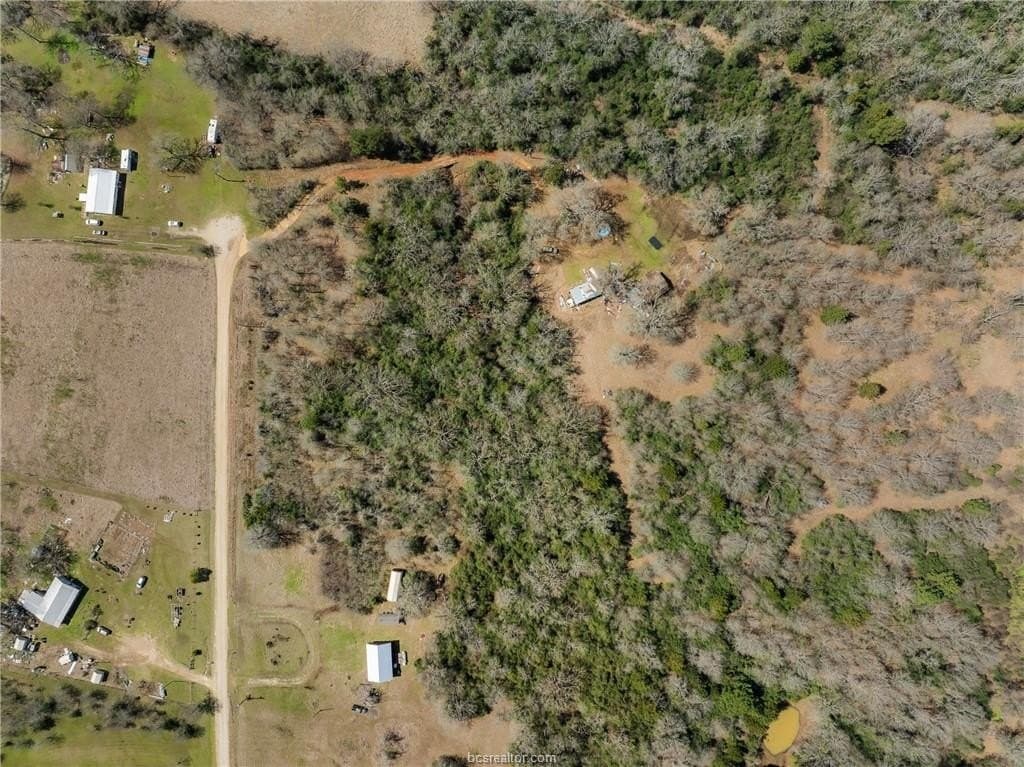 8.98 acres in Grimes County gallery image 2