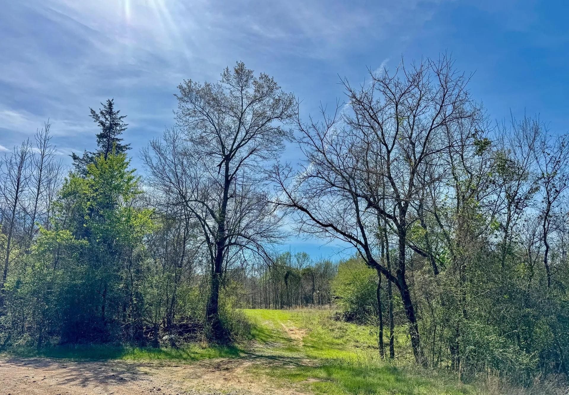5.23 acres in Cass County featured view