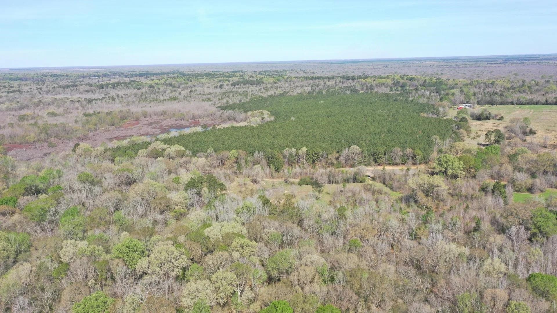 5.23 acres in Cass County gallery image 2