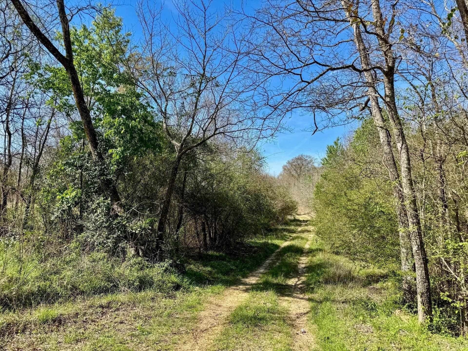 5.23 acres in Cass County - photo 13