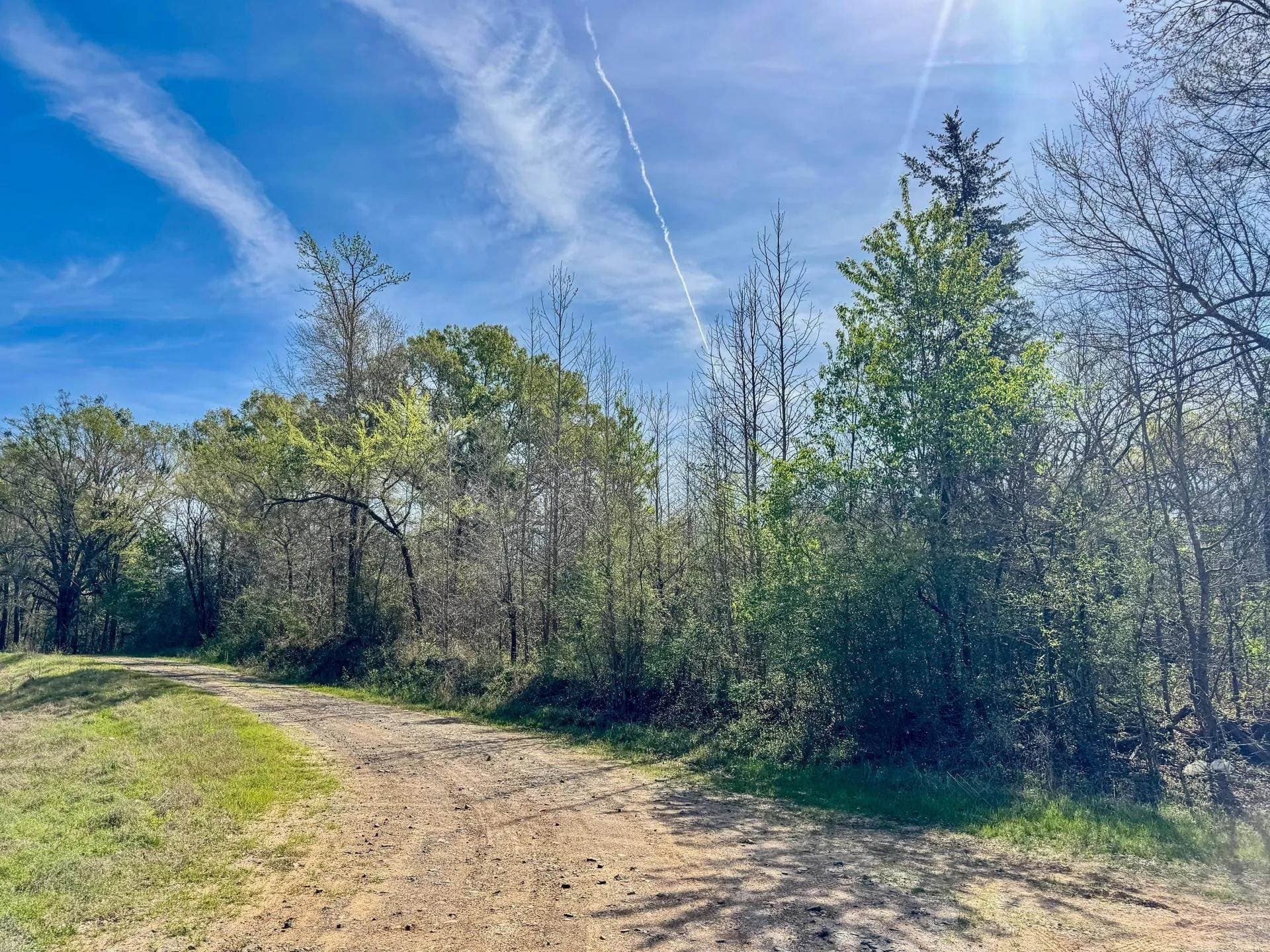 5.23 acres in Cass County - photo 6