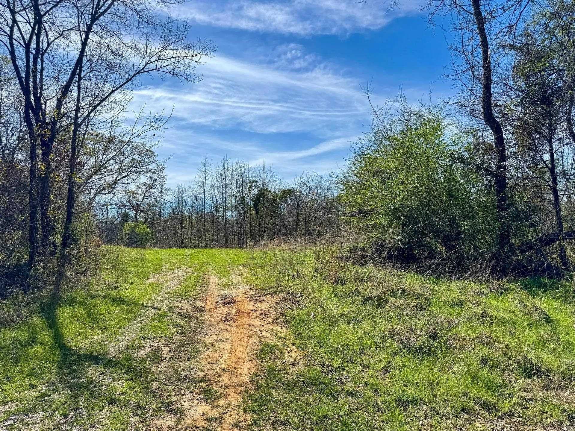 5.23 acres in Cass County - photo 12