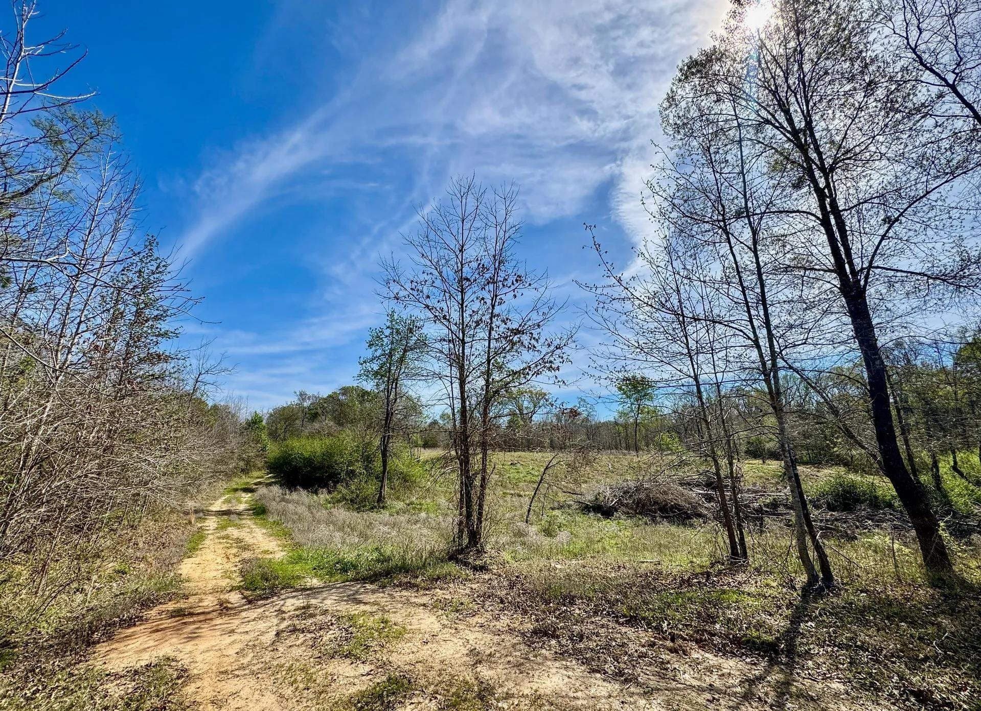 5.23 acres in Cass County gallery image 4