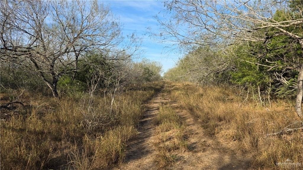 147.85 acres in Starr County - photo 9
