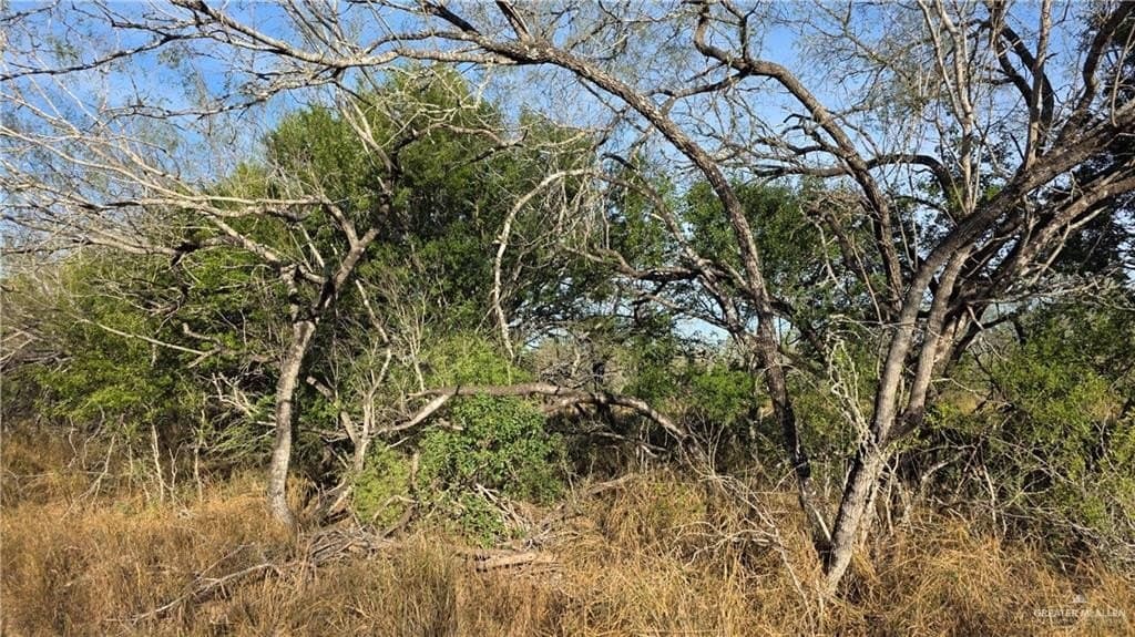 147.85 acres in Starr County - photo 10