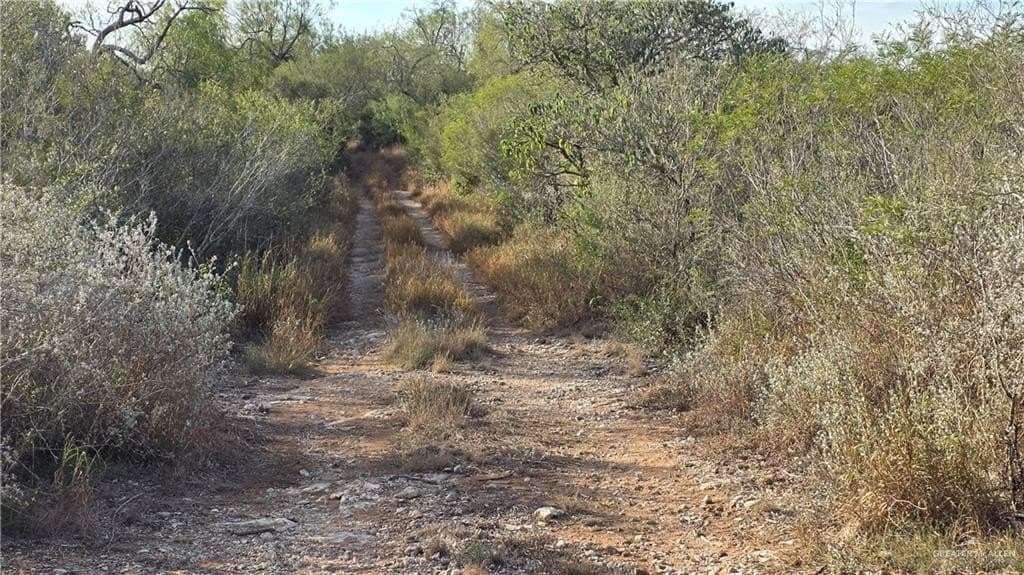 147.85 acres in Starr County - photo 11