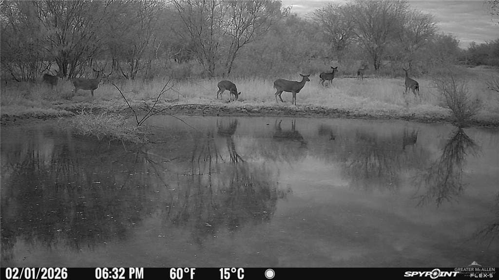 147.85 acres in Starr County - photo 14