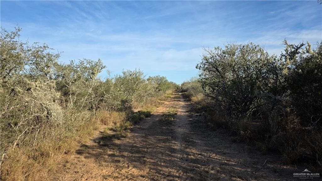 147.85 acres in Starr County - photo 8