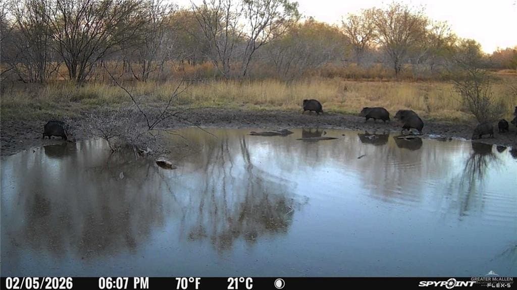 147.85 acres in Starr County - photo 13