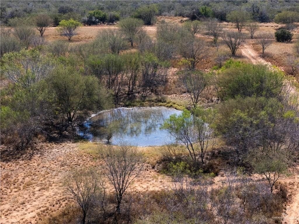 147.85 acres in Starr County gallery image 4