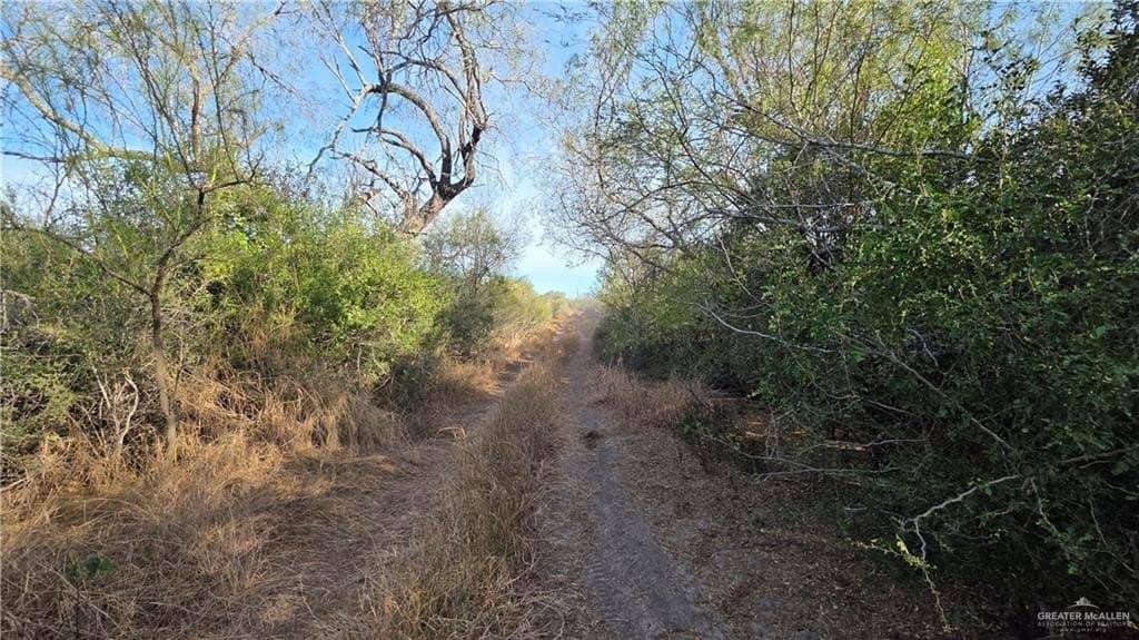 147.85 acres in Starr County - photo 12